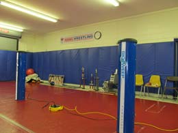 BioSweep in Wrestling